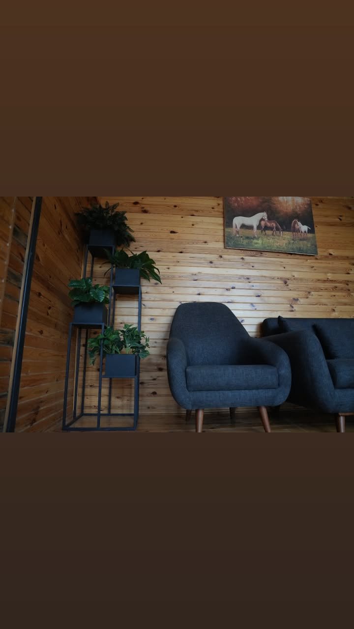 Sapanca bungalov konaklama görseli 6