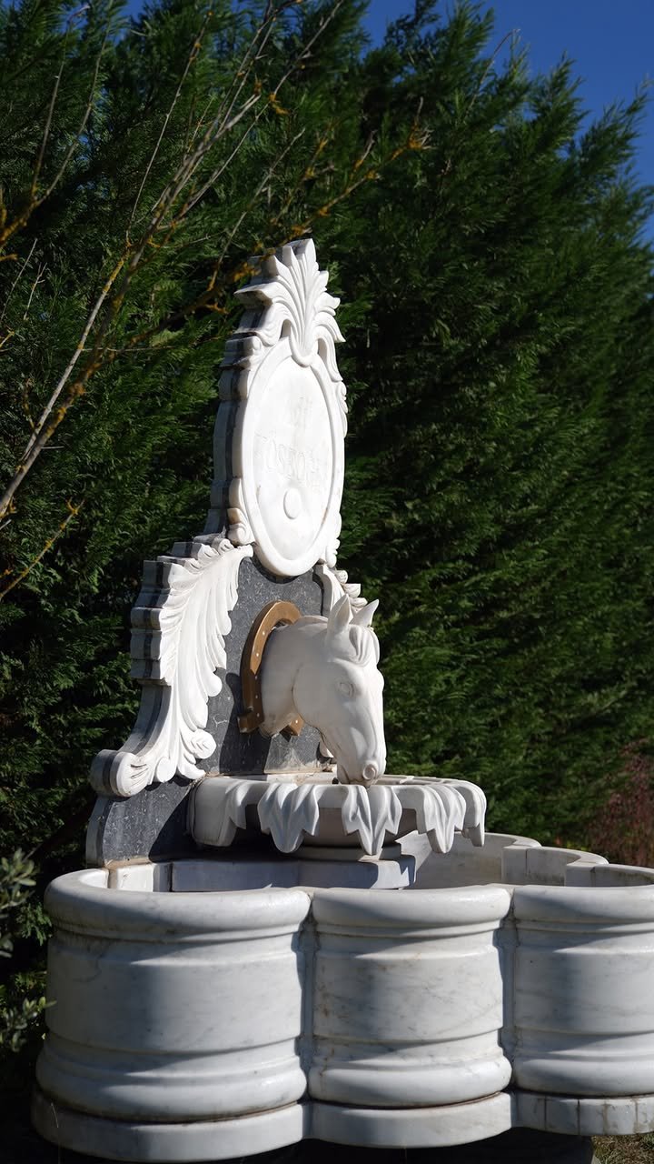 Sapanca villa konaklama görseli 23