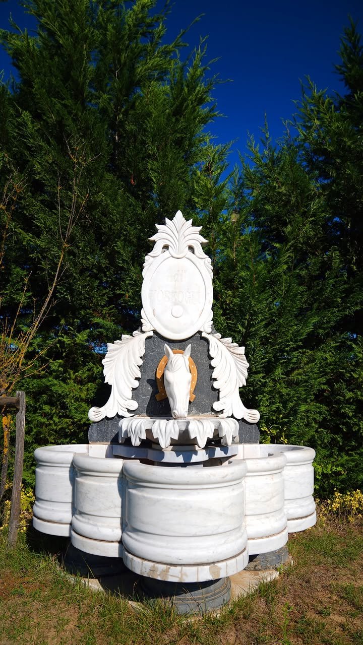 Sapanca villa konaklama görseli 24